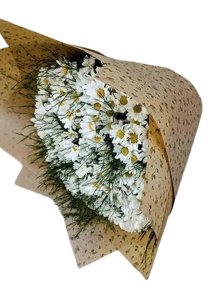 Buquê Ternura de Margaridinhas Brancas