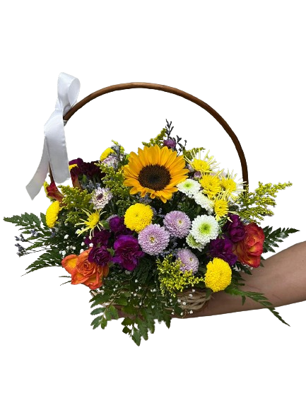 Cestas de Margaridas Coloridas