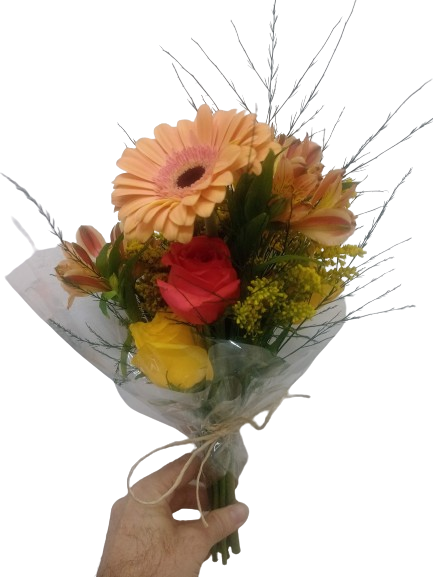 Mix de Flores do Campo P